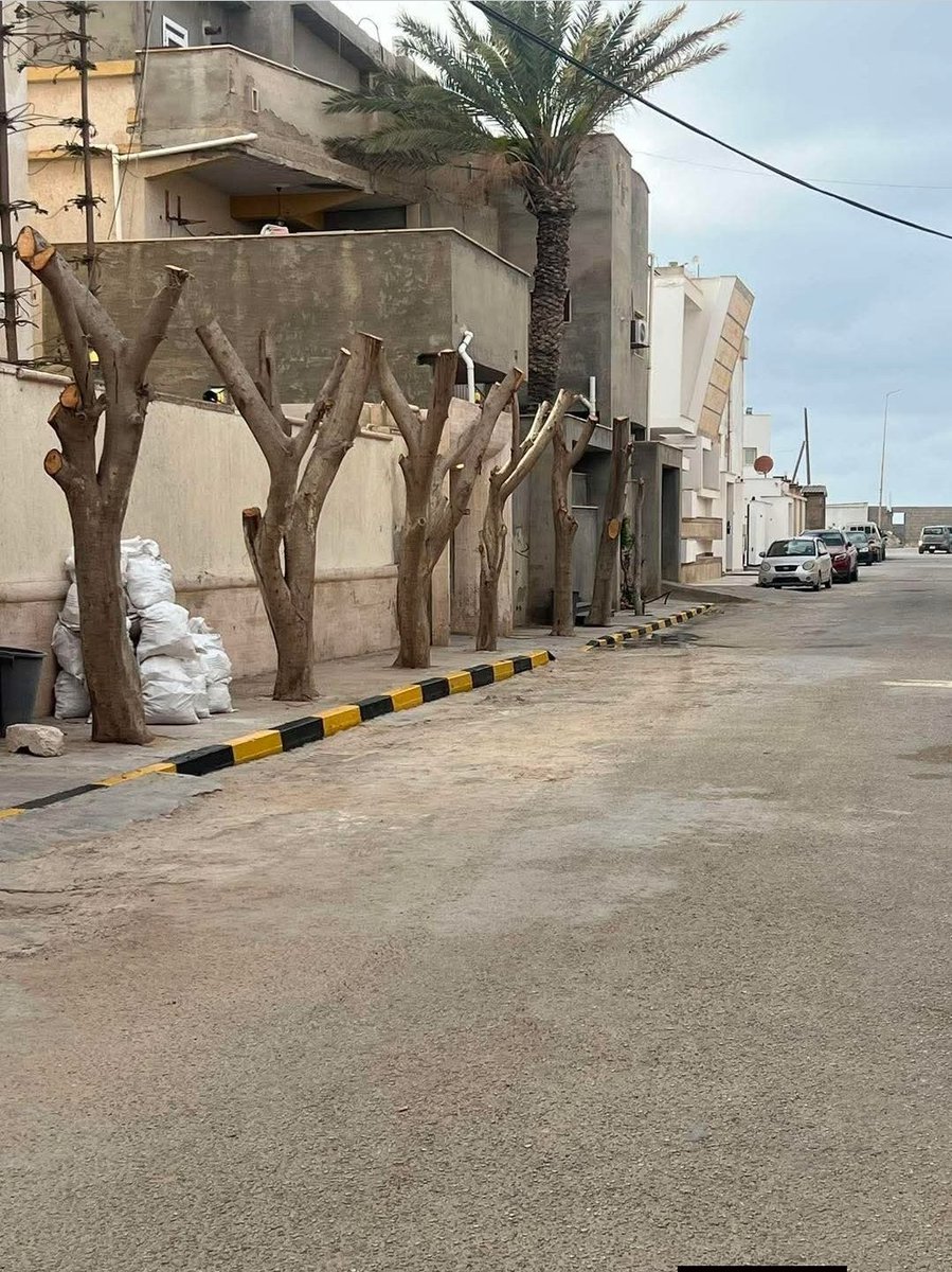 محمد عبدالله الككلي tweet media