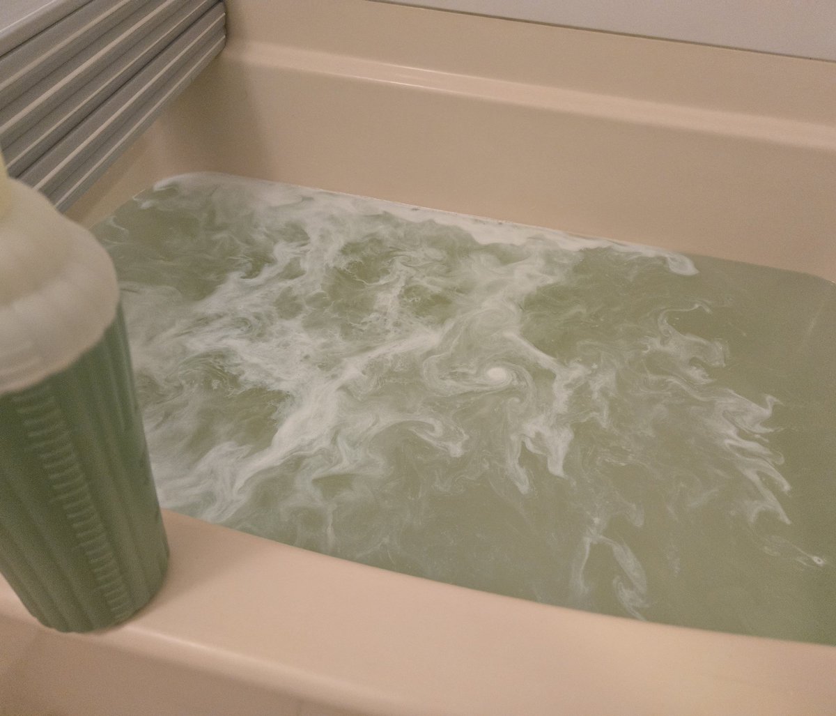 媛ぬこ™ tweet media