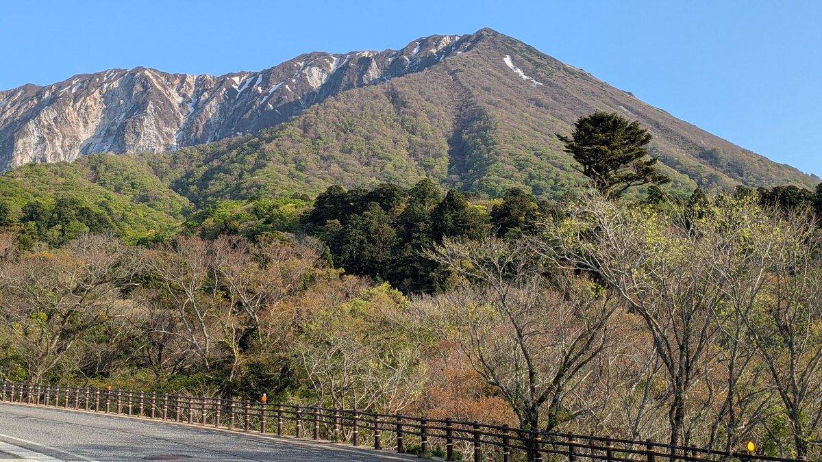 アシガラ@DQW横浜 tweet media