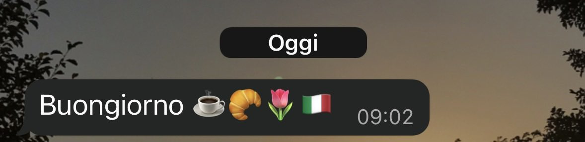mia mamma quando mi da il buongiorno mette sempre le stesse tre emoji + una tematizzata OGGI LA BANDIERA ITALIANA