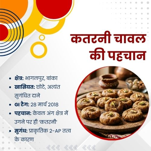 AwazTheVoiceHin's tweet image. कतरनी चावल की पहचान

#KatarniRice #Bihar #TraditionalFood #IndianCuisine #FoodLovers #Heritage