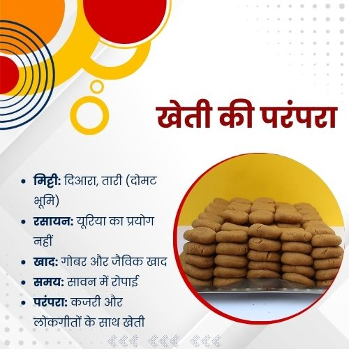 AwazTheVoiceHin's tweet image. कतरनी चावल की पहचान

#KatarniRice #Bihar #TraditionalFood #IndianCuisine #FoodLovers #Heritage