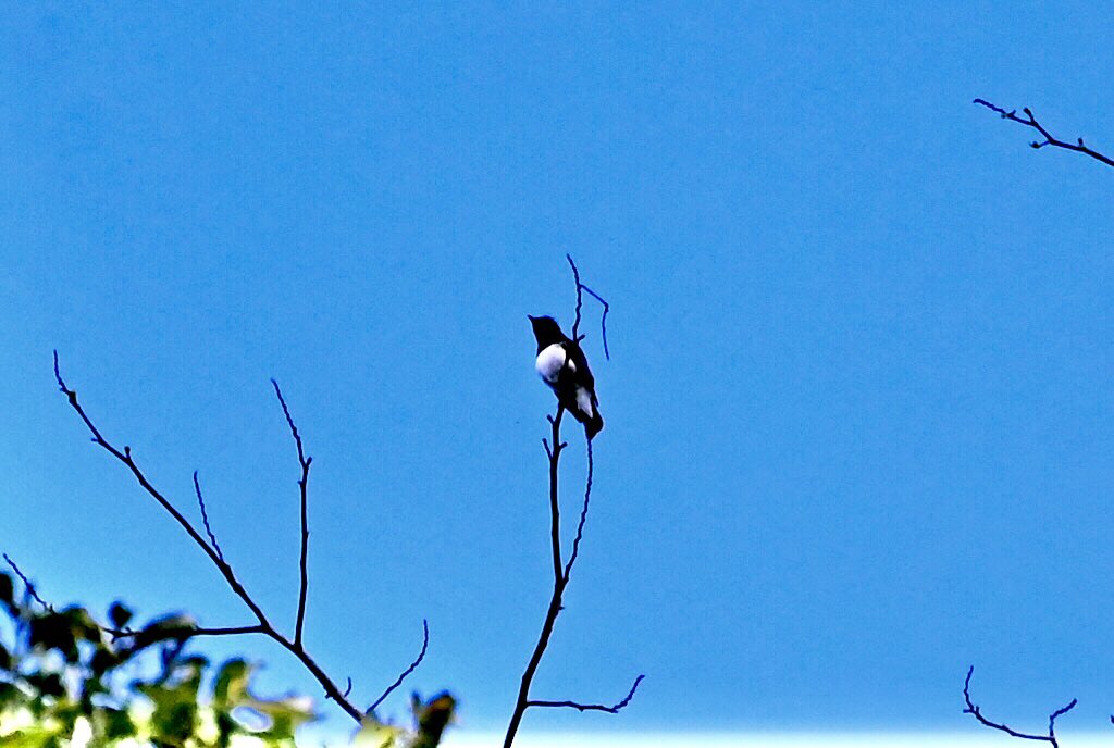 katsushi0308　木更津の勝ちゃん tweet media