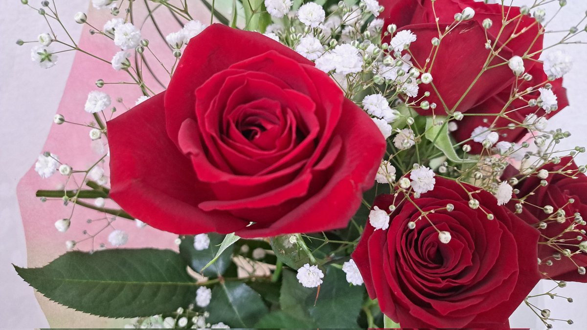 薔薇の花束をいただいた
嬉しいぞー