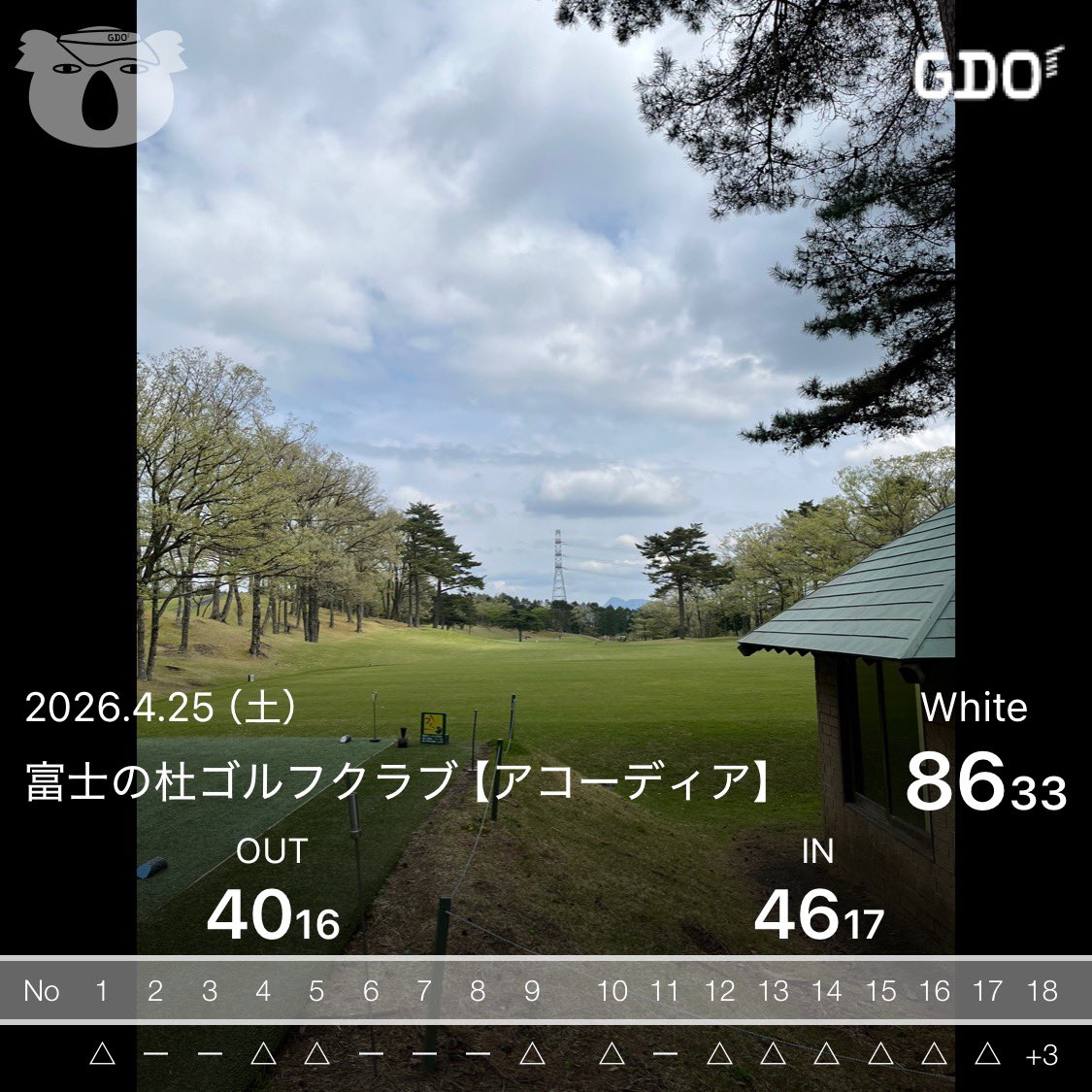 たー tweet media
