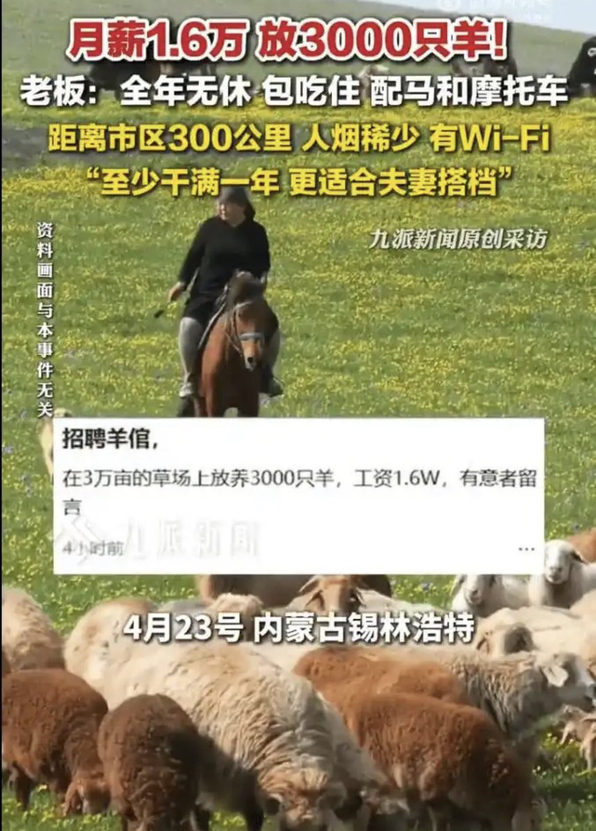 禿道道🐟 tweet media