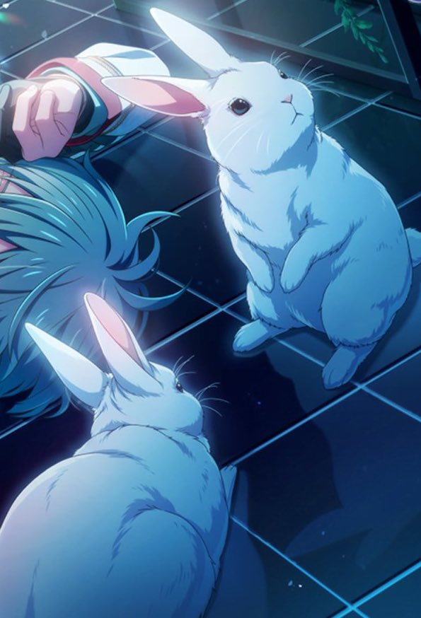 というかこのうさぎ達がこんなにリアルなら きなこは一体なんなんだ