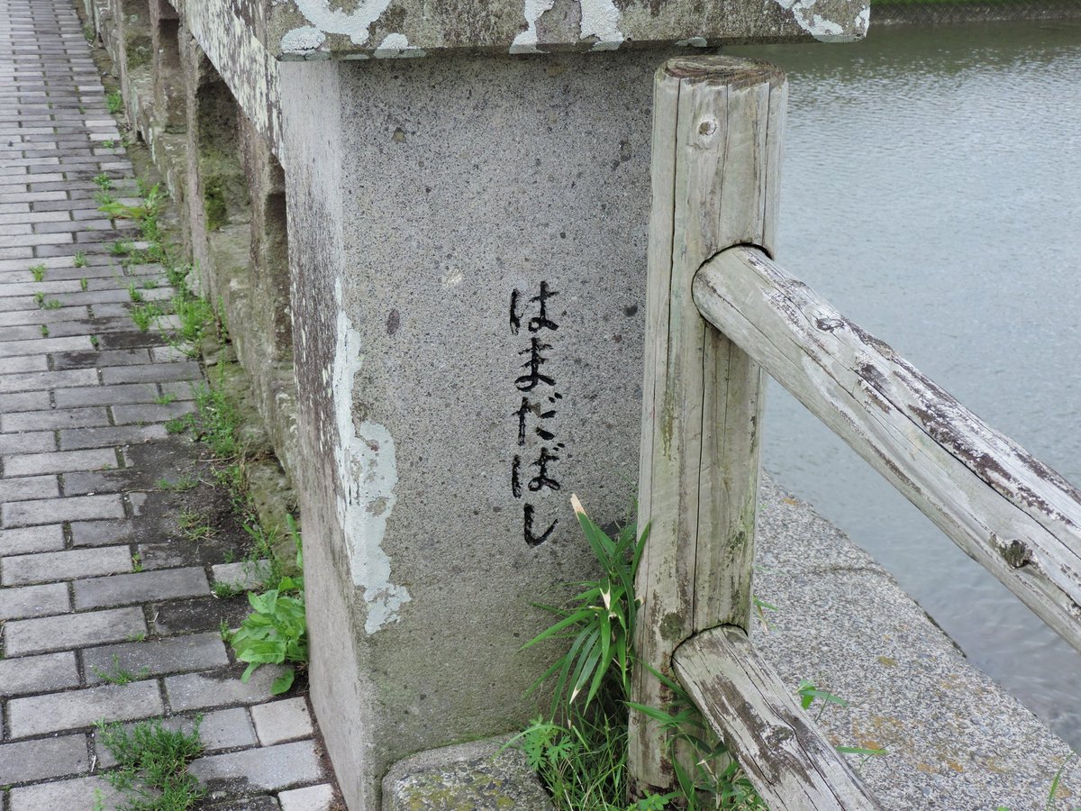 はまだ tweet media
