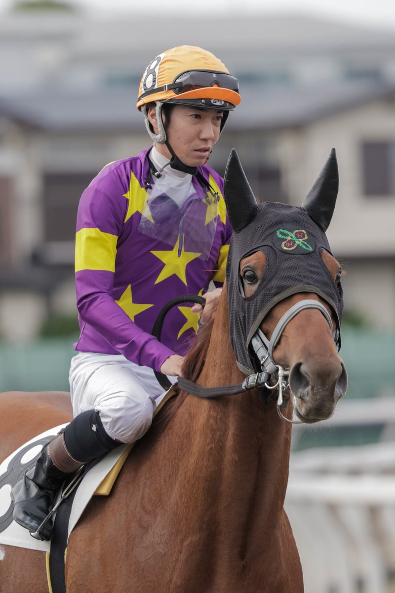 ちゃぼ tweet media