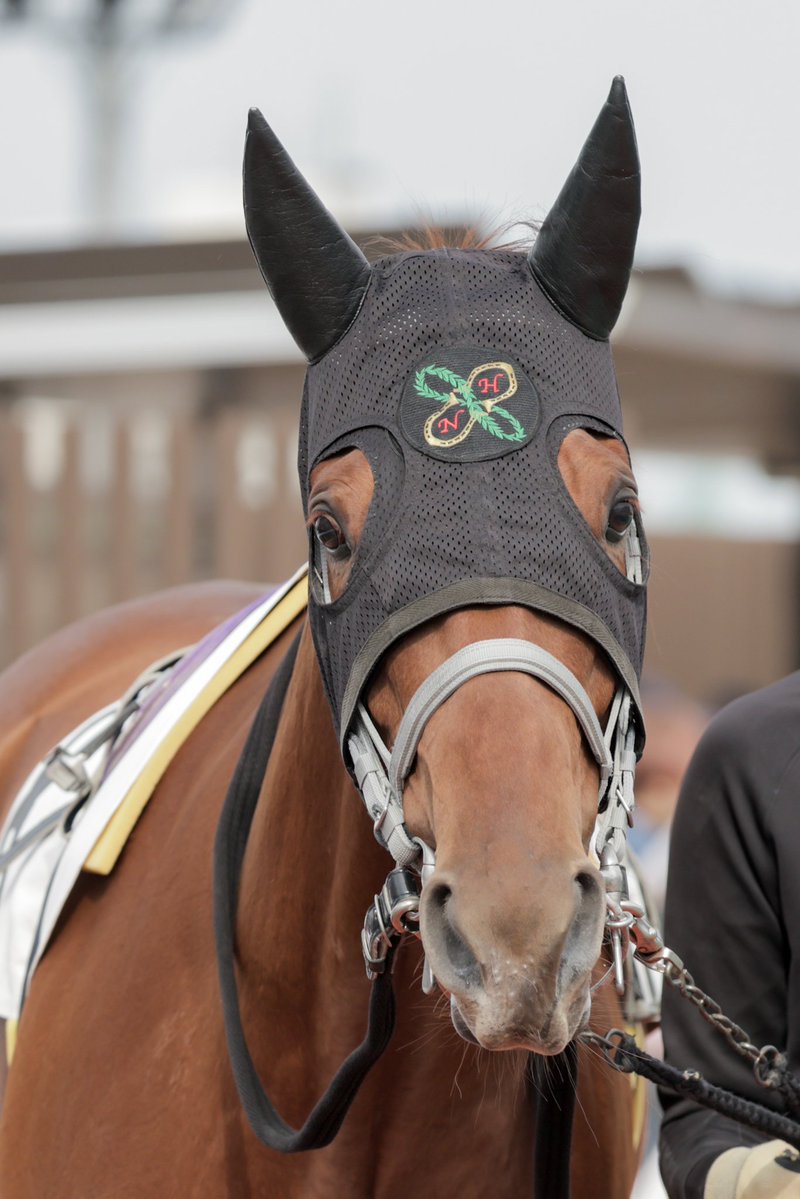 ちゃぼ tweet media