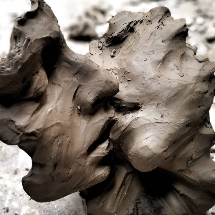 LeoDaVinciWave tweet media