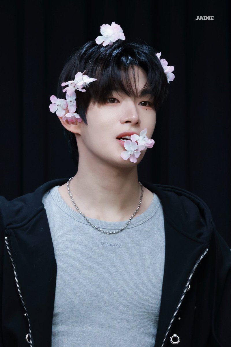 lyre 🫧 tweet media