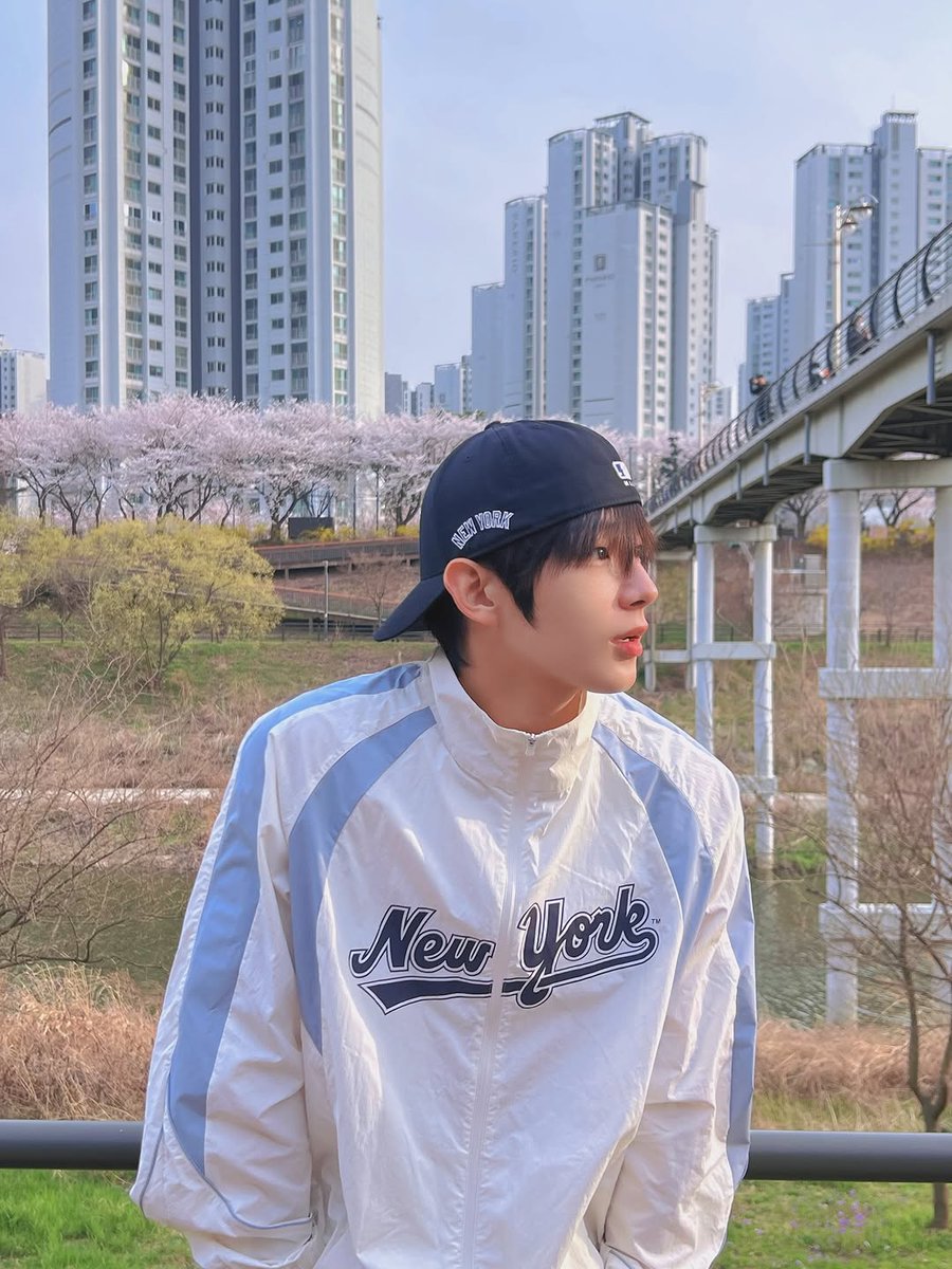 lyre 🫧 tweet media