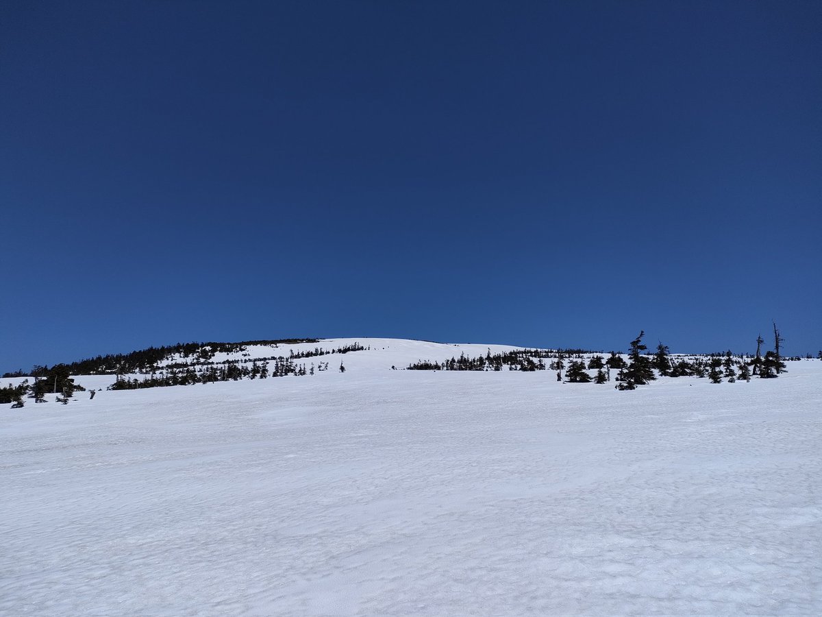the8_41's tweet photo. 板納めで苗場山へ。天気も良くて景色を楽しみながらのんびりと。今シーズンは雪が少なくちょっと物足りなかったけど楽しいシーズンでした。 https://t.co/Cv94JxeiKG