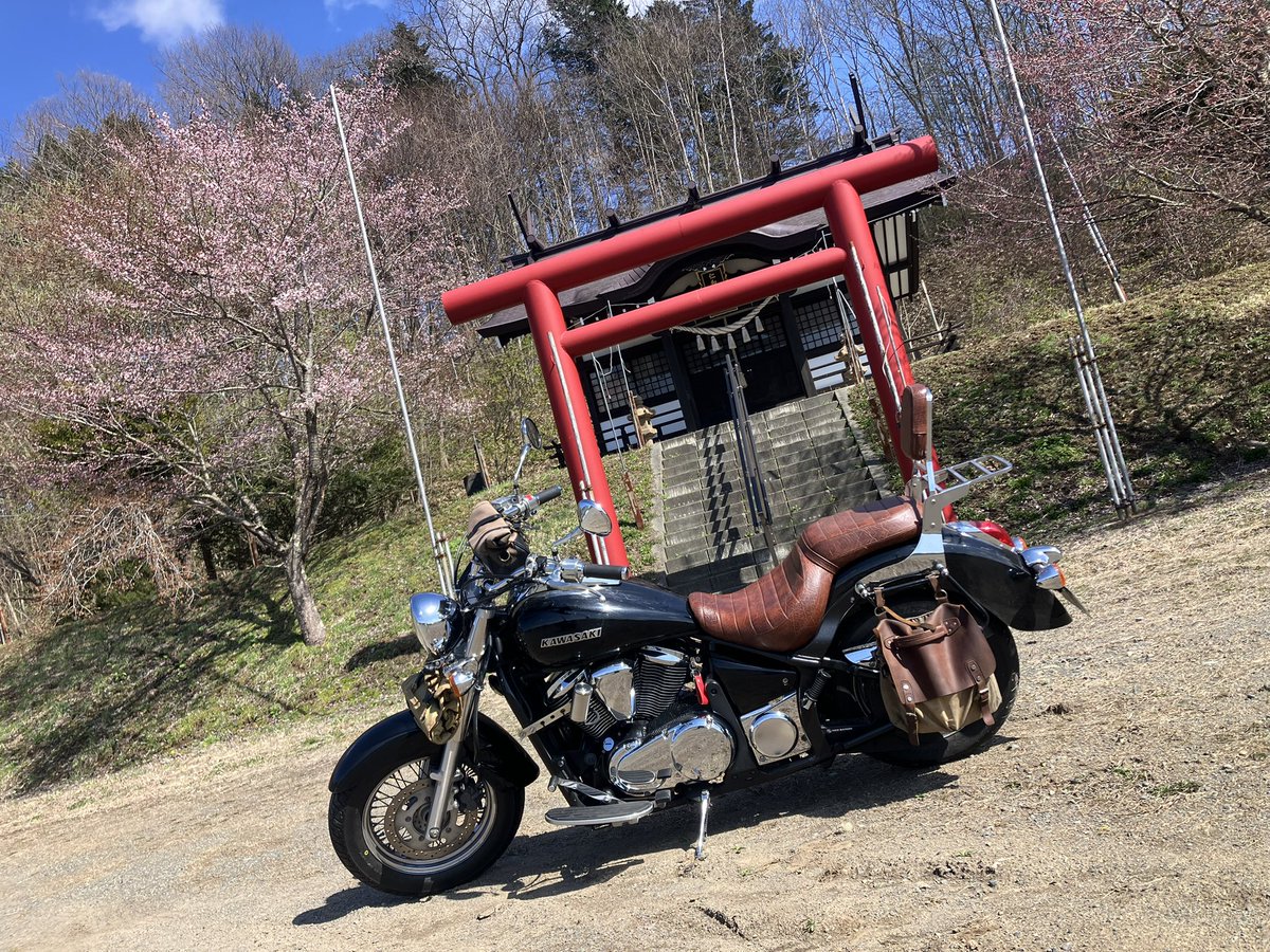 キネマ tweet media