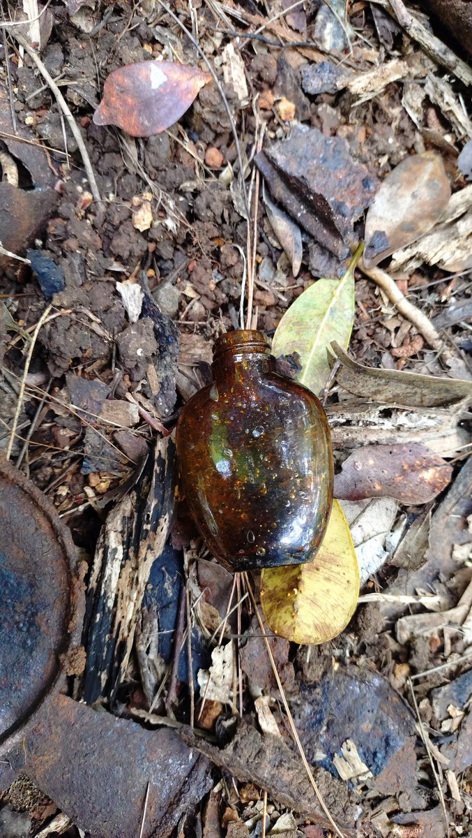 なかじま　りゅうや tweet media