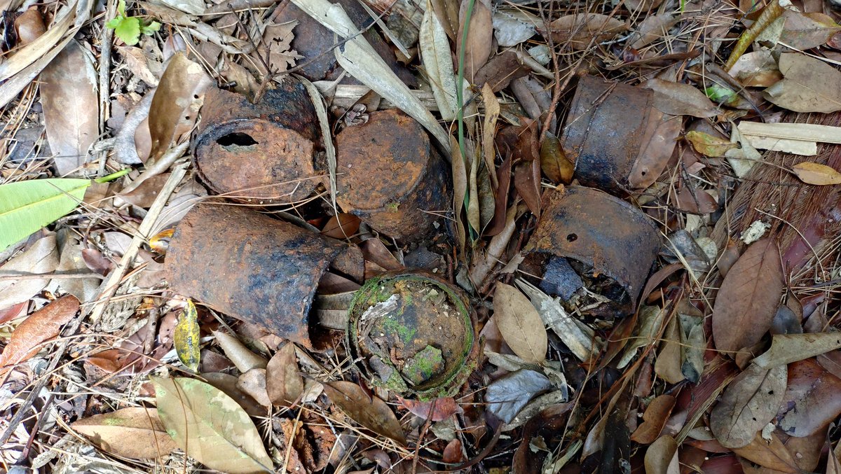 なかじま　りゅうや tweet media