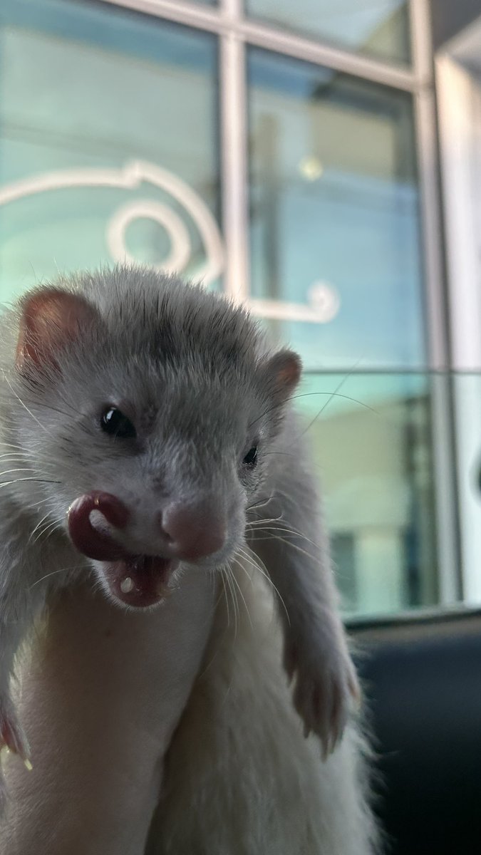 M&AwithU✦マロンママ✦ tweet media