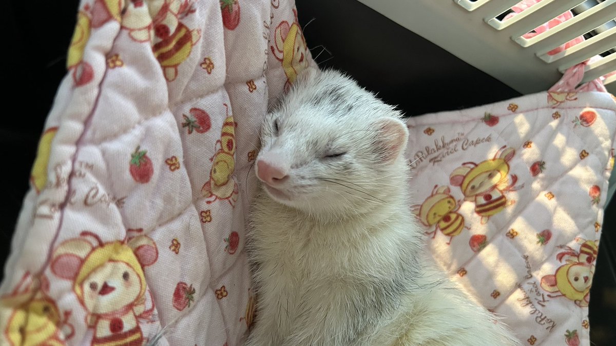 M&AwithU✦マロンママ✦ tweet media