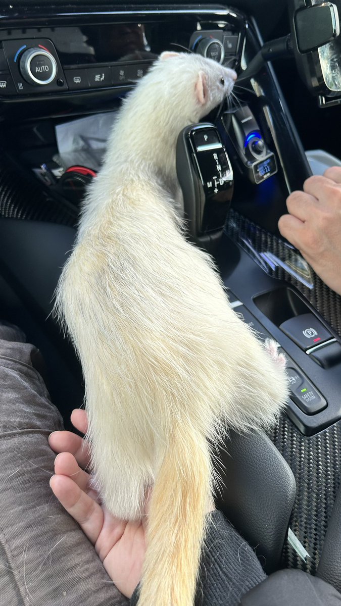 M&AwithU✦マロンママ✦ tweet media