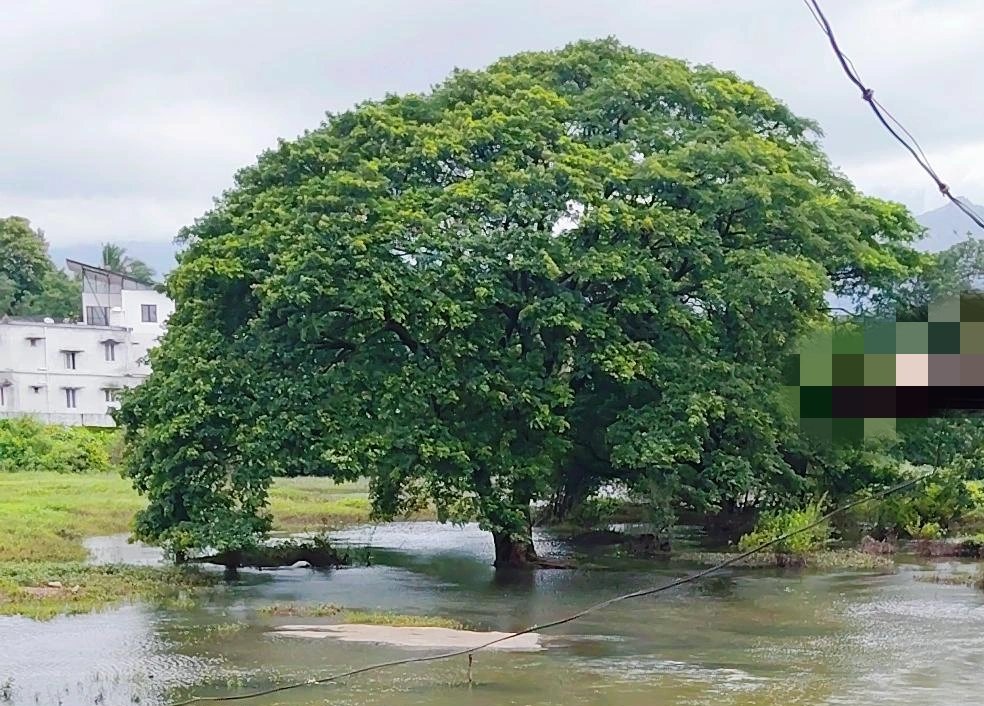 ParvathiSumesh 🍀🍁🦋🌈 tweet media