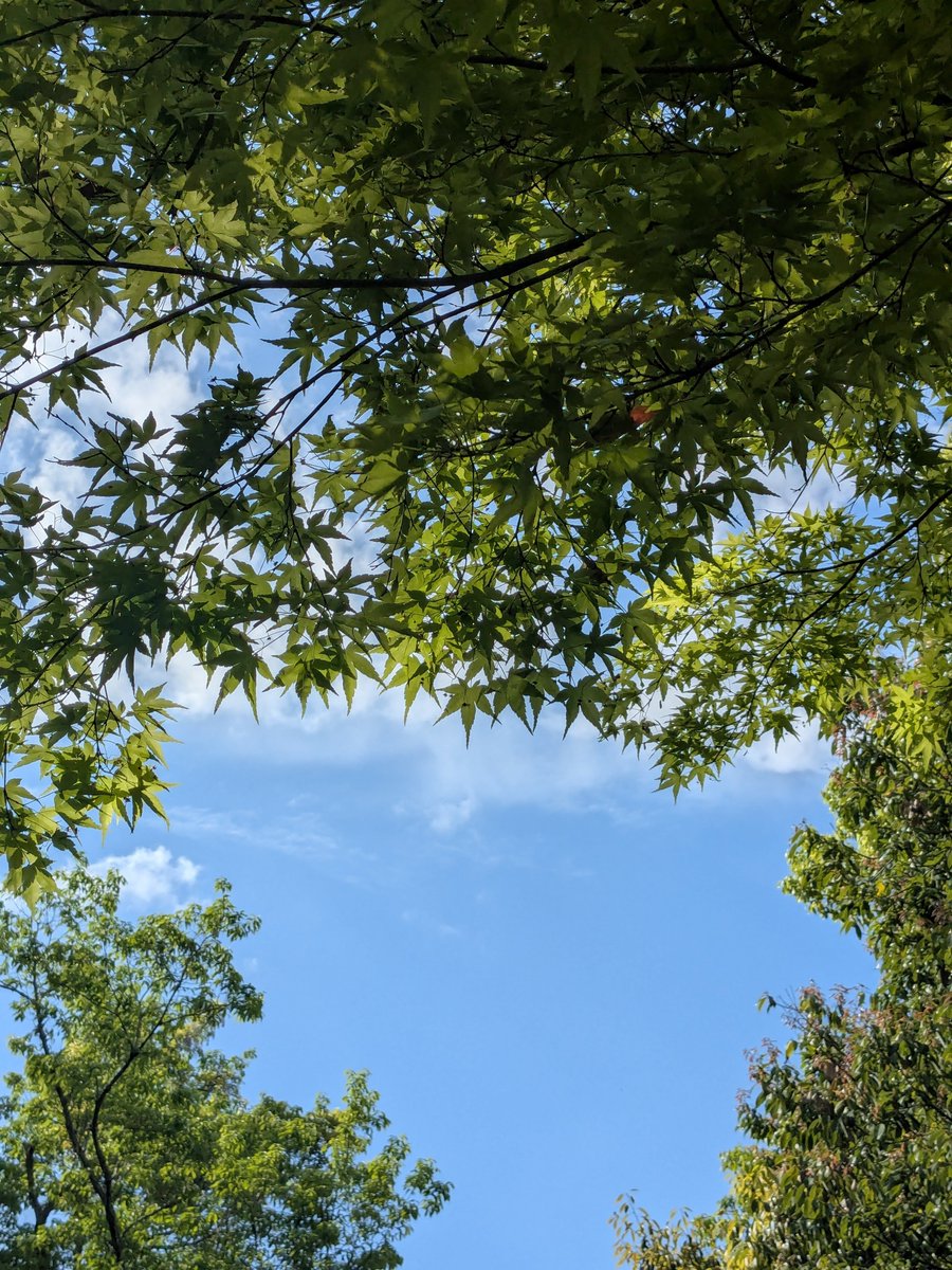 つまなよ🌸📸 tweet media