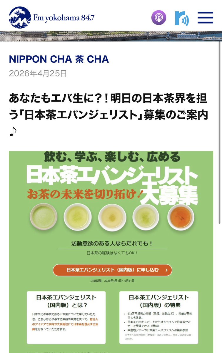 茂木雅世（お茶もきこ） tweet media