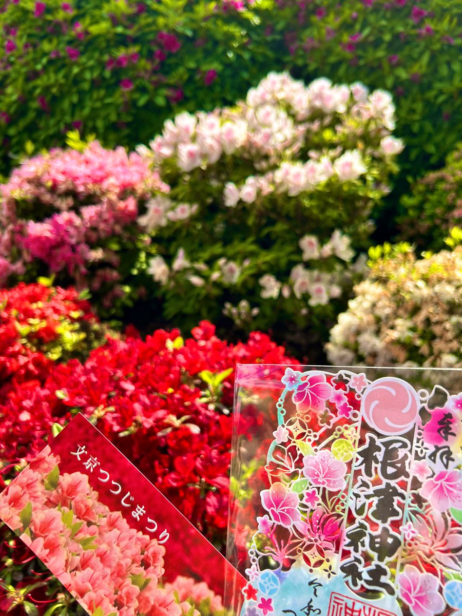 小川町@まちこ⛩ tweet media