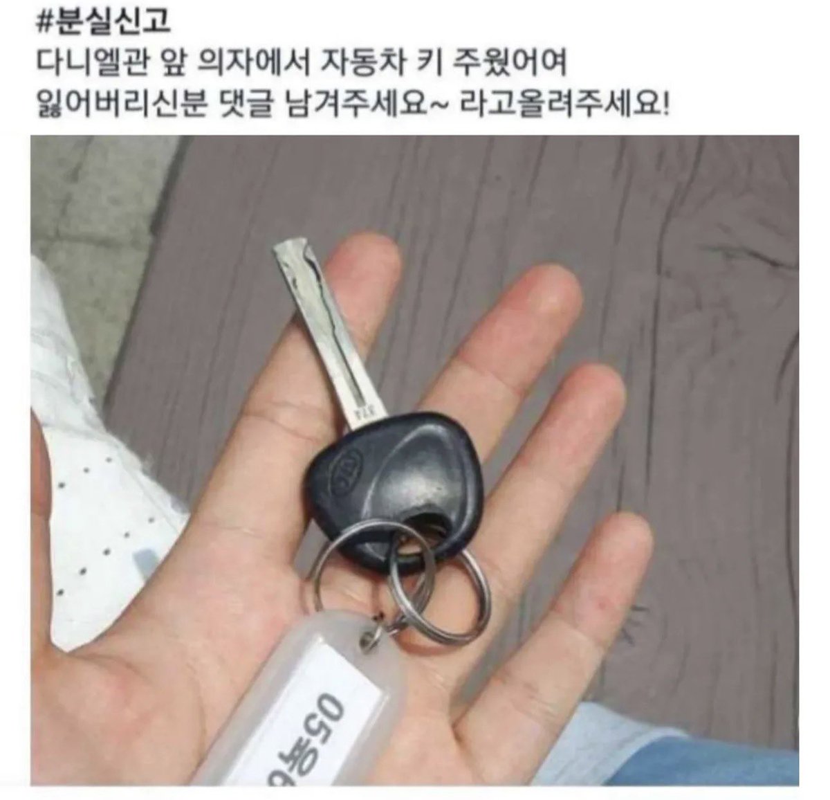 대한고양이(Daehan Kitty)😼 tweet media