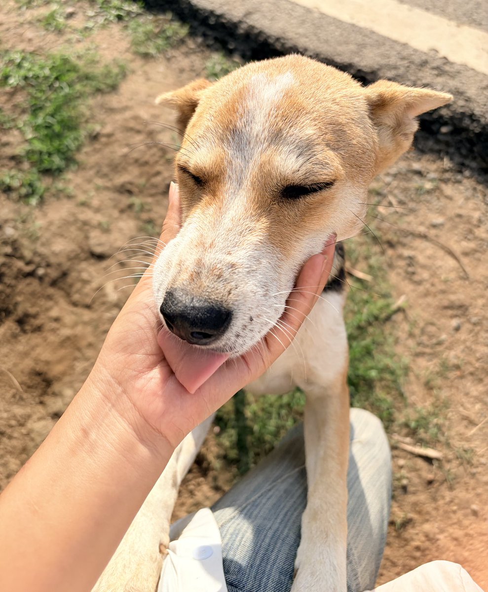 basskarnannya tweet media