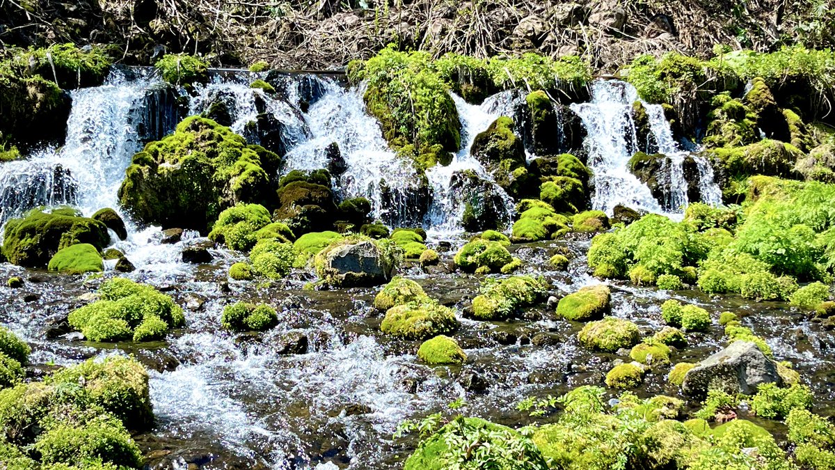 ヨルハ tweet media