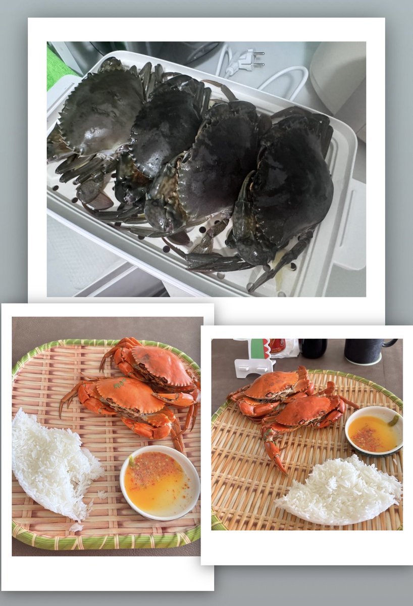 verathai11's tweet image. Mời anh em ăn tối nhé!

Nay ae được payX thì ăn hoành tráng nha còn mình thì chỉ được cty air 500k, nên làm 4 con cua be bé 450k 😂😂

#holiday #food