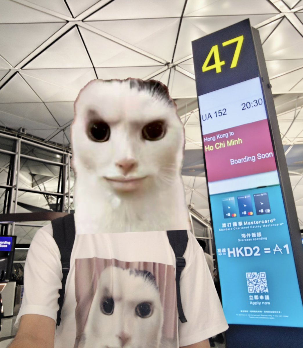 红尘飞 tweet media