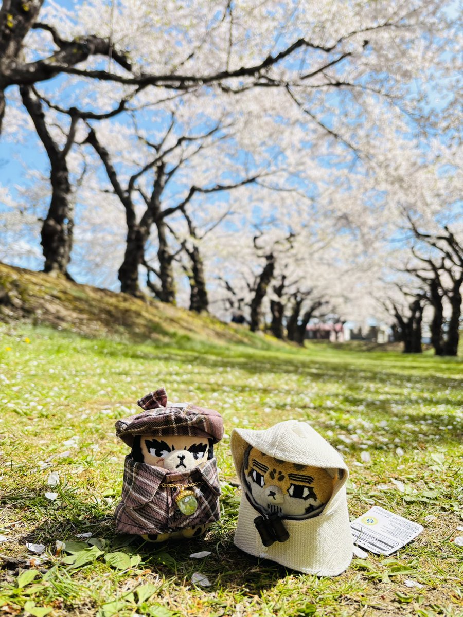 さえみ tweet media