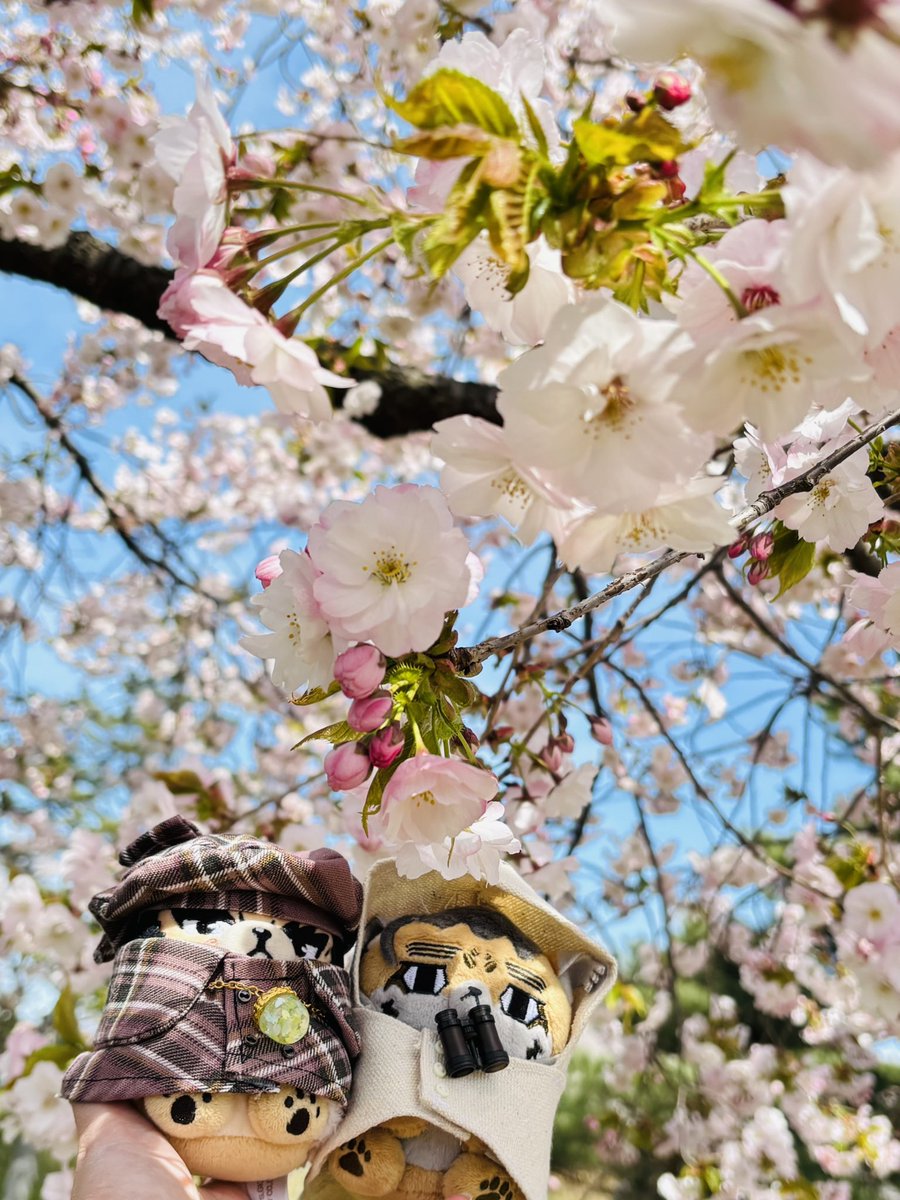 さえみ tweet media