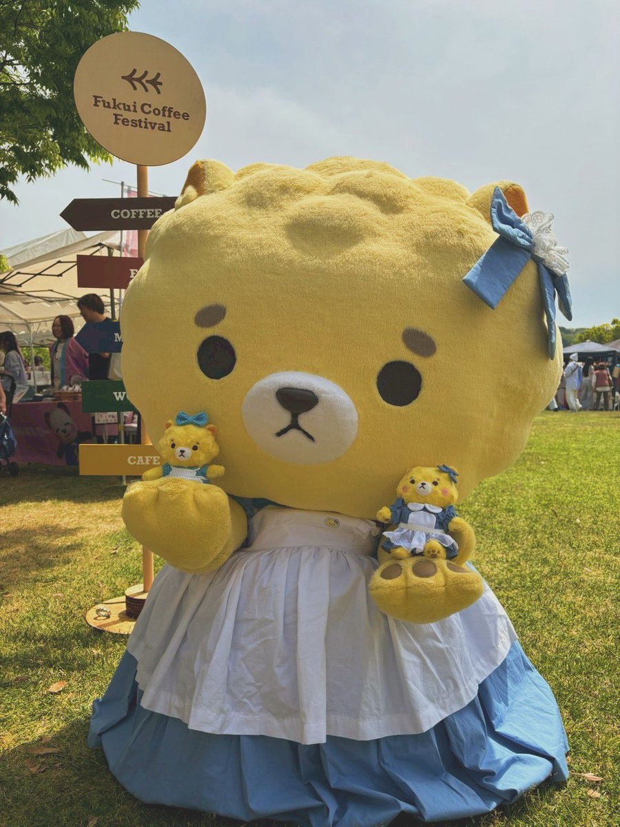 坂井ほや丸🍮🐾【坂井市公式キャラ】ゆるキャラGP 2年連続自治体キャラ1位🥇 tweet media