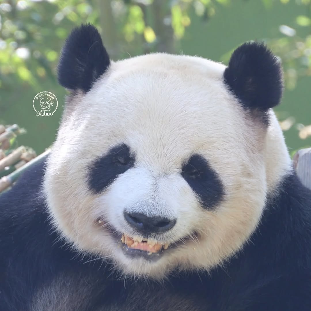 아보카도잼 tweet media