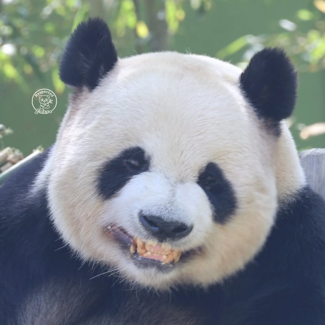 아보카도잼 tweet media