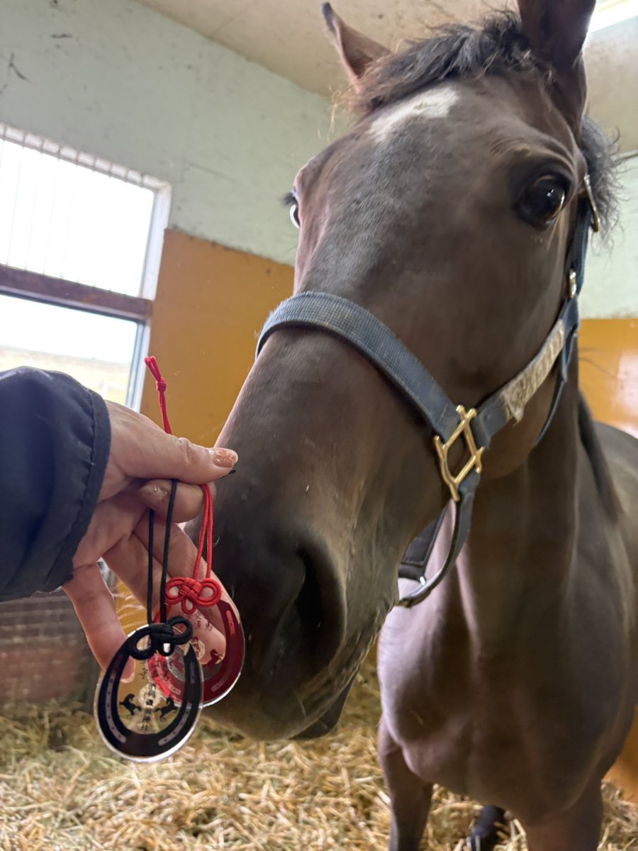 LakeVillaFarm tweet media