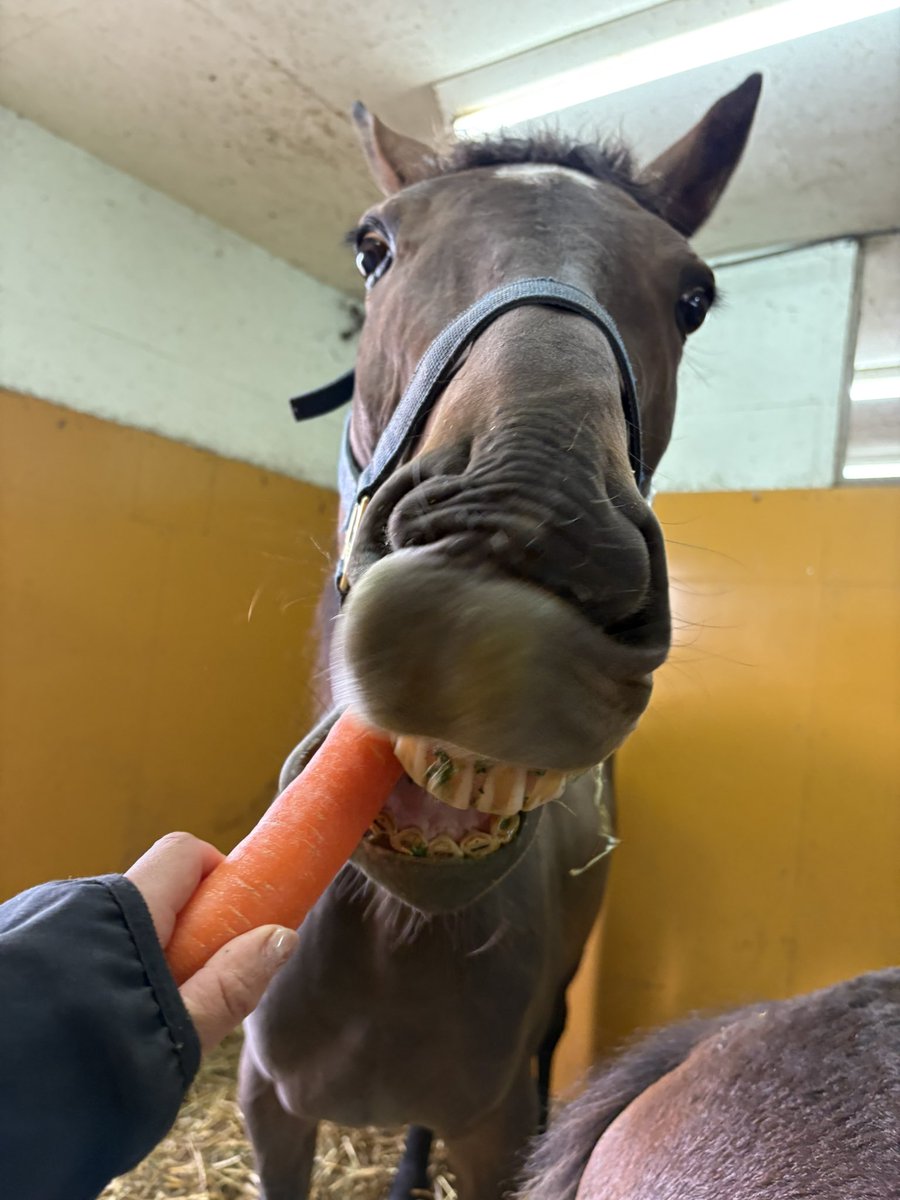 LakeVillaFarm tweet media