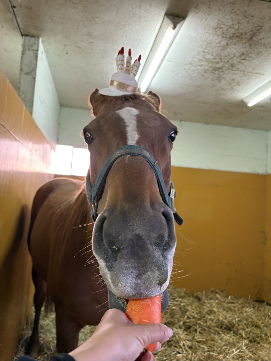 LakeVillaFarm tweet media