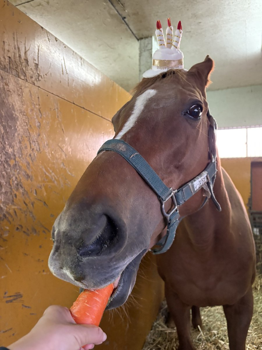 LakeVillaFarm tweet media