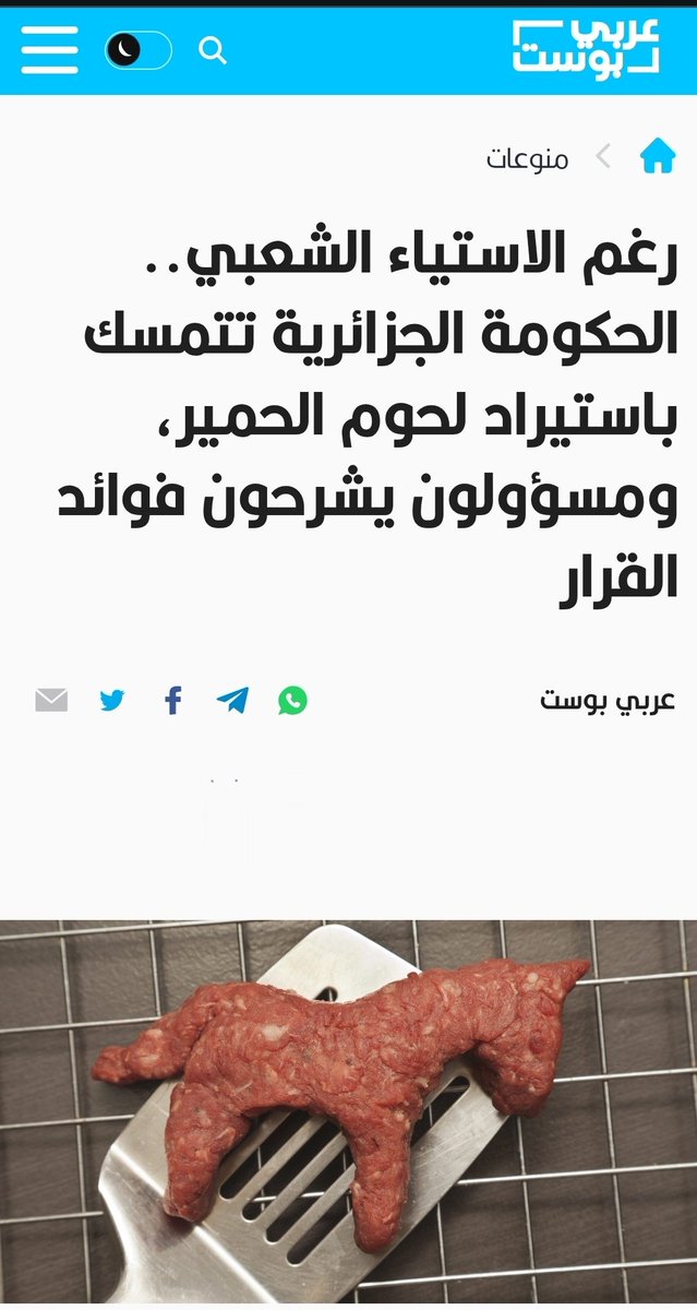 reda 🇲🇦 tweet media