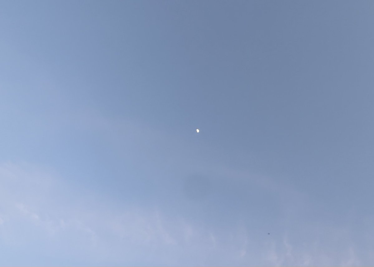 誠太郎 tweet media