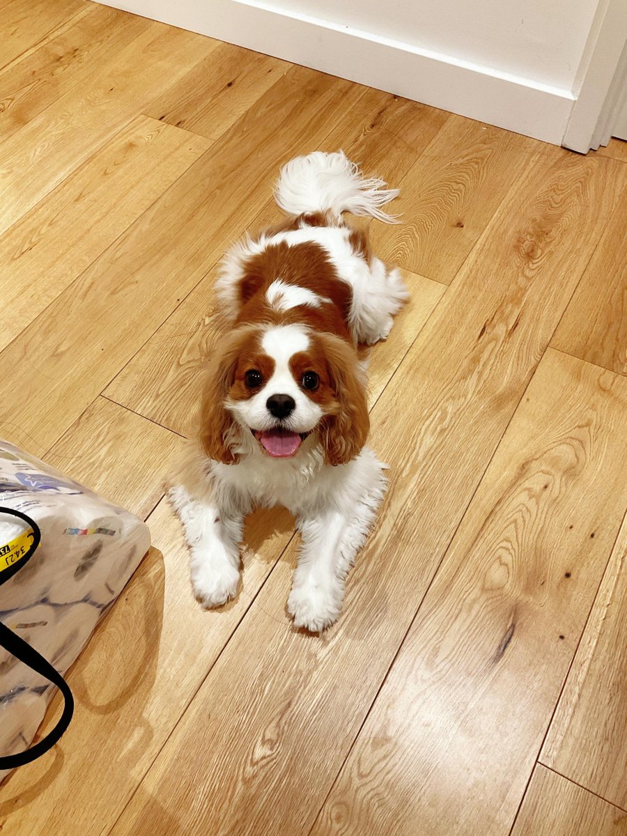 Rion Murray tweet media