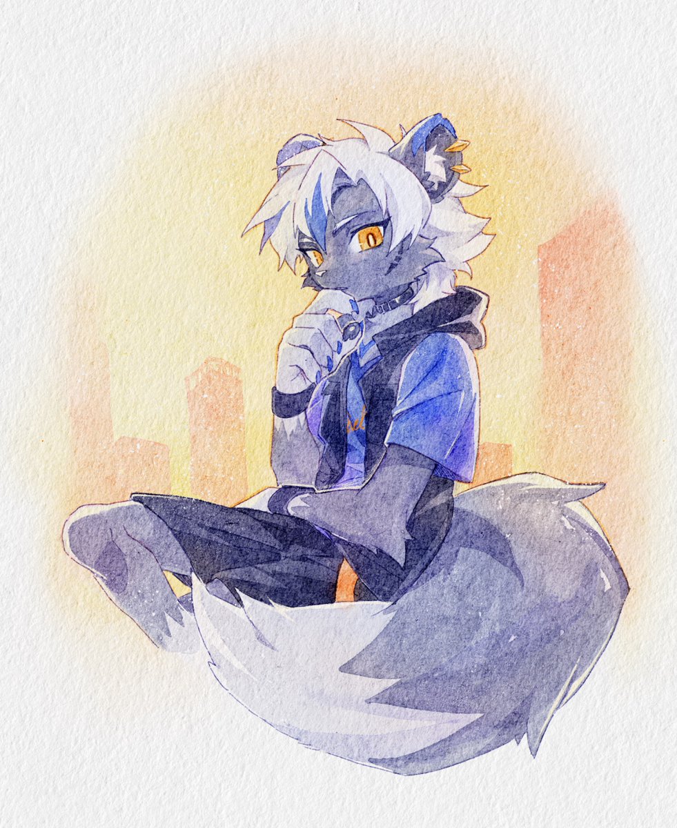 秋末星河 tweet media