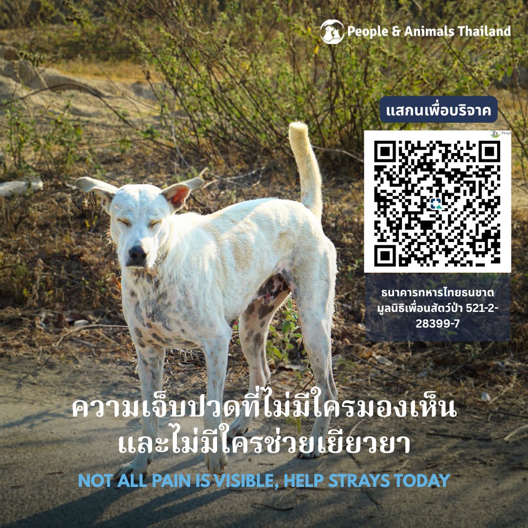 ความเจ็บปวดบางครั้ง ก็ไม่สามารถมองเห็นได้จากภายนอก

สัตว์จรจัดไม่มีที่พึ่ง การรักษายิ่งไม่สามารถเข้าถึงได้ง่าย ๆ

ร่วมปันบุญบริจาค ค่ายาถ่ายพยาธิให้น้องหมาจรข้างถนน ทุเลาความเจ็บปวดจากภายในได้ที่: ธนาคารทหารไทยธนชาต ttb มูลนิธิเพื่อนสัตว์ป่า 521-2-28399-7