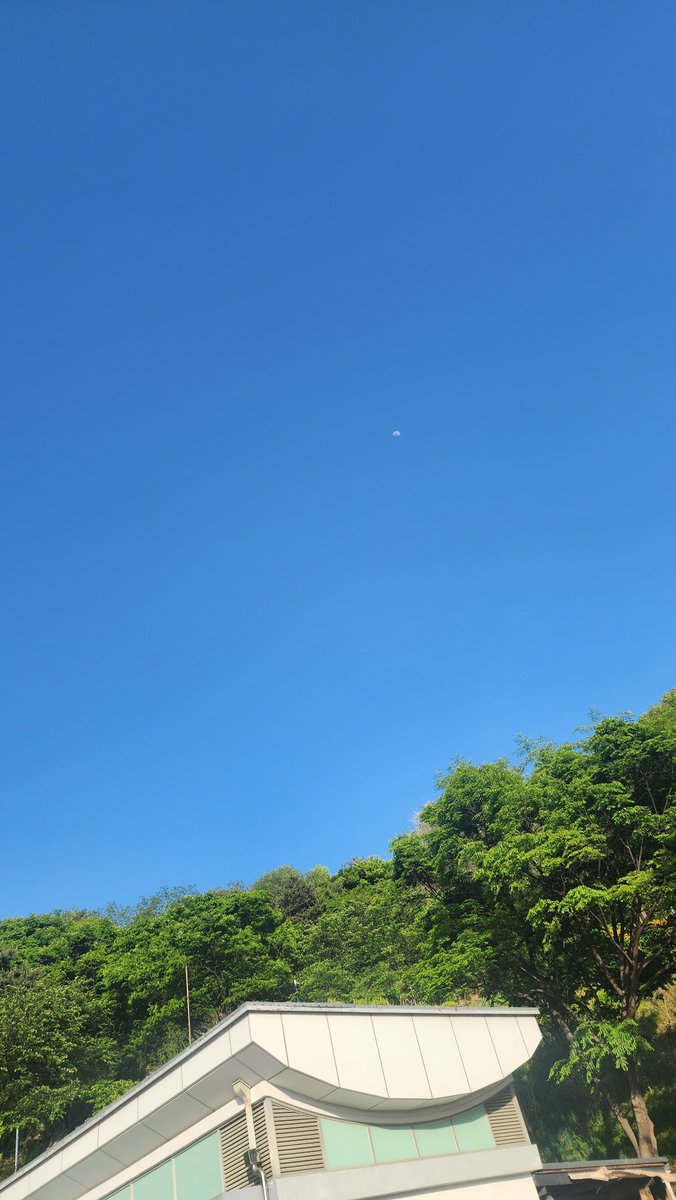 트친님이랑 길피 세트 사서 낙산 올라가서 먹음.

큰 라지 한조각을 주나햇는데 그게 아니엇다.
생각보다 큰데 가격도 나쁘지않음.
근데 감튀 맛잇는데 너무 짜...
되게 너무 짬..