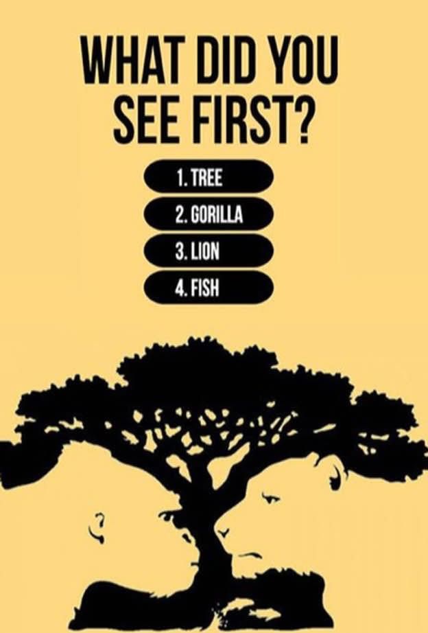 Serenity speaks 🇱🇷 tweet media