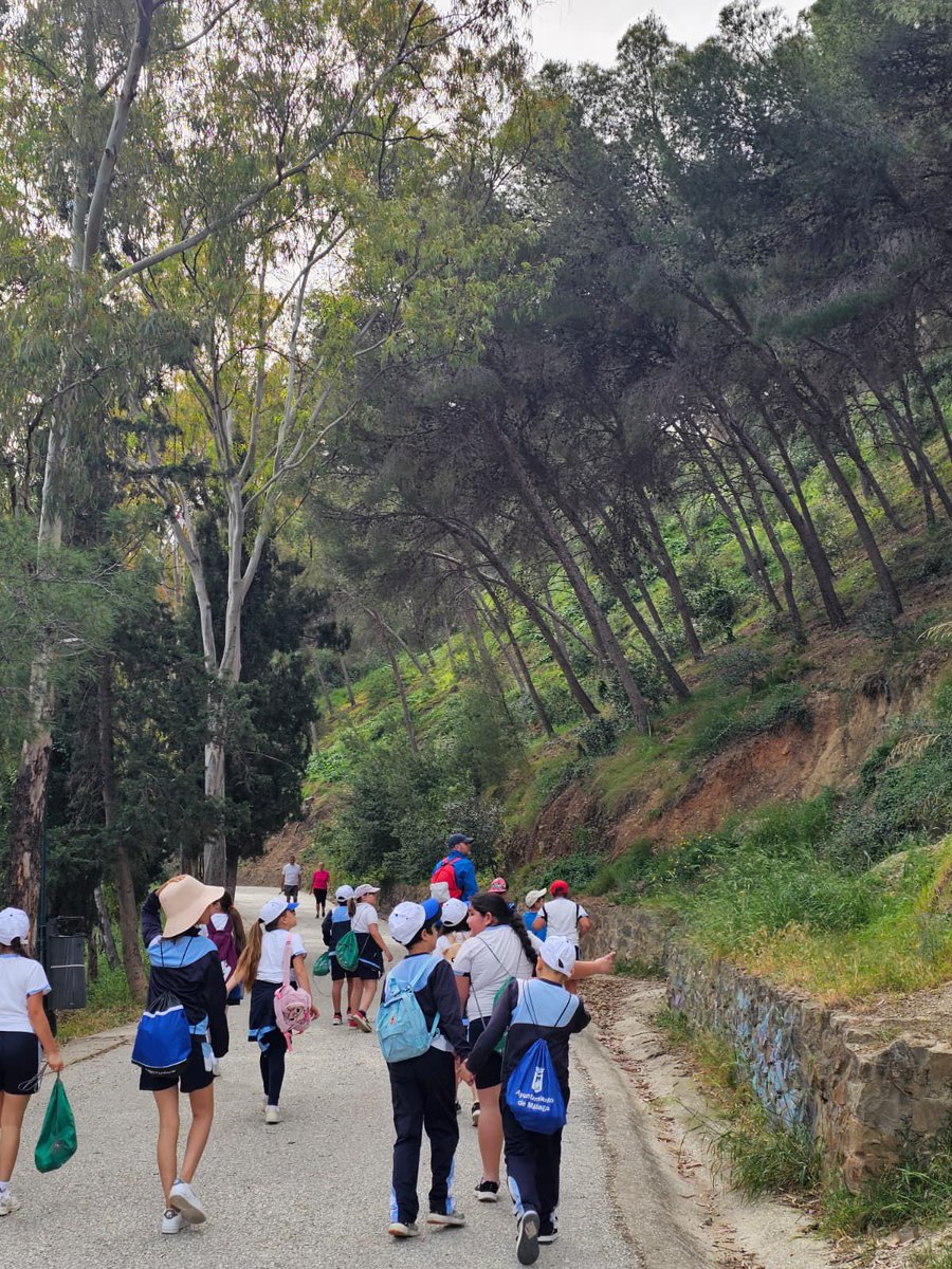 SAFAICET's tweet image. Terminamos donde empezamos, en los Jardines de Pedro Luis Alonso, con las piernas cansadas pero el corazón lleno de momentos increíbles. 
¡Qué bonita es Málaga! 🎒✨😃🫶🏻
#YoConSAFA #FamiliaSAFA #VenMiraSienteSAFA #EducamosPersonasCreamosFuturo #ApúntateALaExperienciaSAFAICET